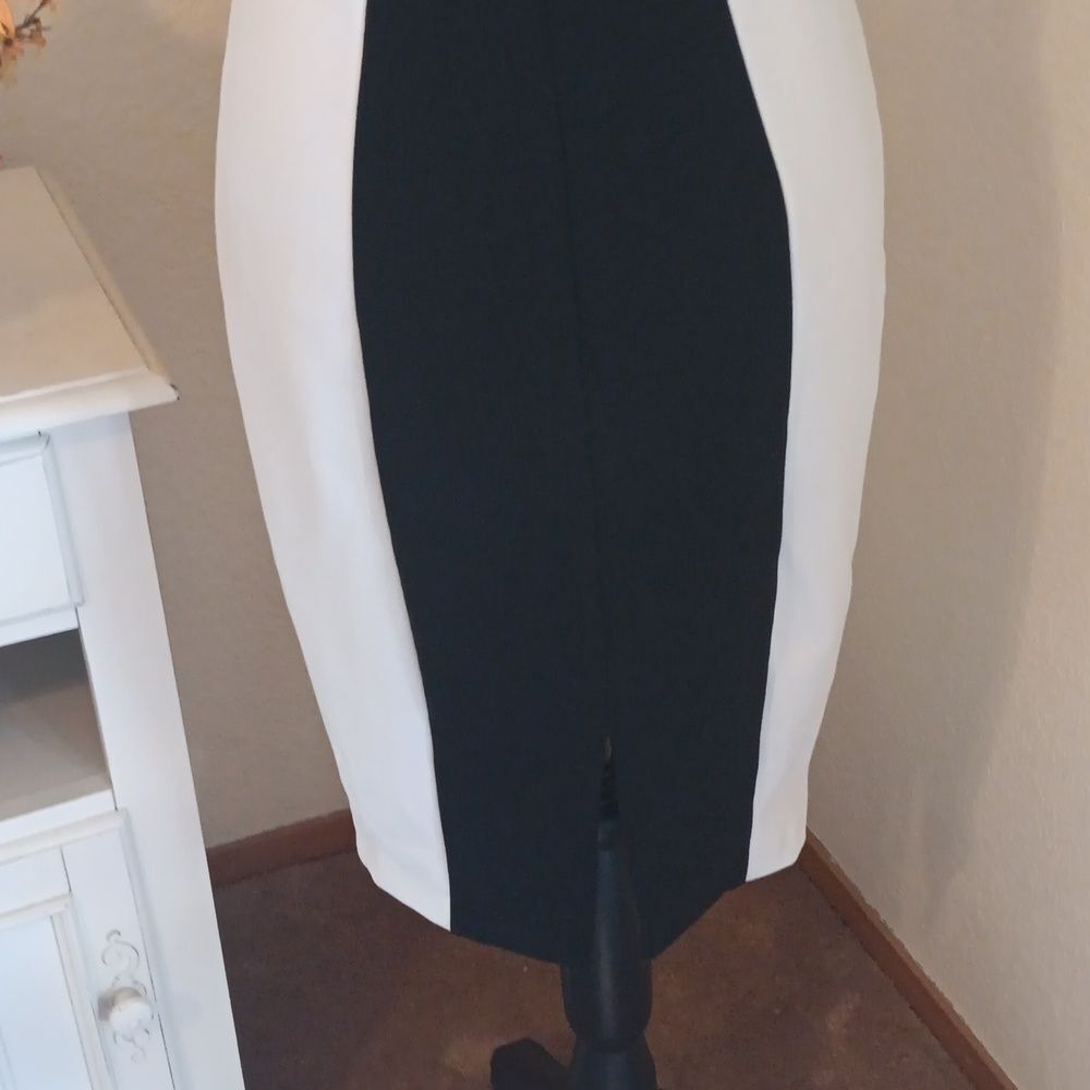 Alexia Admor Colorblock Dress - Picture 10 of 15